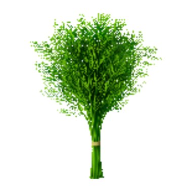 شبث