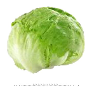 خس اسباني