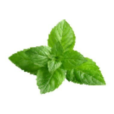 نعناع