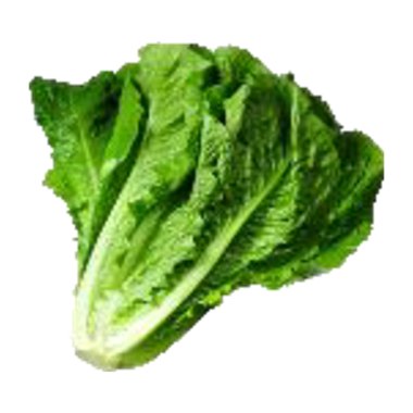 خس طويل